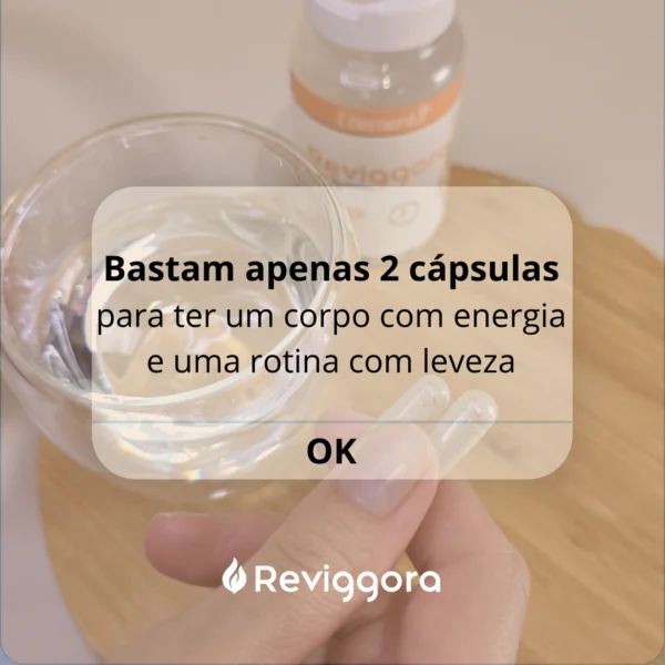 Reviggora - Imagem 4
