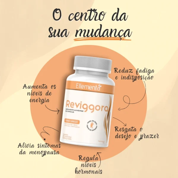 Reviggora - Imagem 2